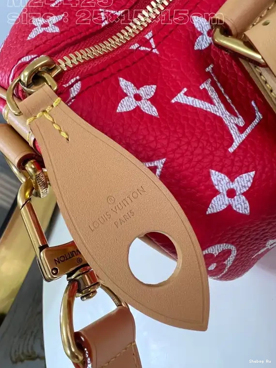 25 Vuitton Louis SPEEDY 0524